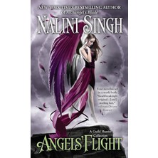Berkley Books Angels' Flight: A Guild Hunter Collection