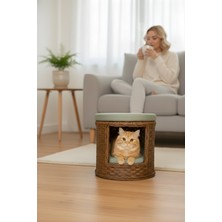 Navruz Metal Premium Alüminyum Iskeletli Rattan Yıkanabilir Minderli Puflu Kedi Evi