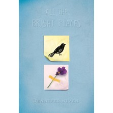 Ember All The Bright Places Collector's Edition