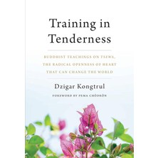 Shambhala Training In Tenderness: Buddhist Teachings On Tsewa, The Radical Openness Of Heart That Can Change T