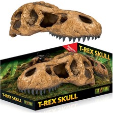 Hagen Exoterra Techmrt Exo Terra Trex Kafatası Şekilli Sürüngen Yuvası