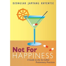 Shambhala Not For Happiness: A Guide To The So-Called Preliminary Practices