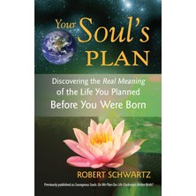 North Atlantic Books Your Soul's Plan: Discovering The Real Meaning Of The Life You Planned Before You Were Born