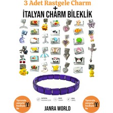 Janra World 3 Adet Rastgele Charm + Italyan Charm Bileklik Seti | Sürpriz Hediye Ile Birlikte