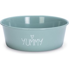 Techmrt Beeztees Yavru Köpek Mama Su Kabı, Paslanmaz Çelik, Kaymaz Taban, Turkuaz, 16CM, 940ML