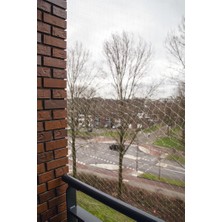 Nrzsnt Beeztees Kedi Pencere Veya Balkon Koruma Filesi, Şeffaf, 4X3M