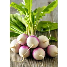 Yerli Şalgam 50 Adet Turp Tohumu