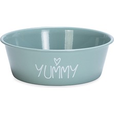 Techmrt Beeztees Yavru Köpek Mama Su Kabı, Paslanmaz Çelik, Kaymaz Taban, Turkuaz, 13CM, 470ML