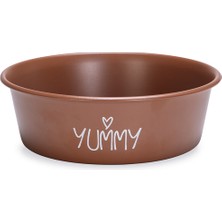 Techmrt Beeztees Yavru Köpek Mama Su Kabı, Paslanmaz Çelik, Kaymaz Taban, Kiremit, 16CM, 940ML