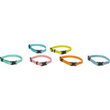 Techmrt Beeztees Yavru Köpek Boyun Tasması, Çeşitli Renklerde, 17-25CM, 10MM