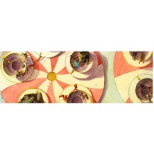 Storemax The Midnight Fair: A Spectacular Award-Winning Wordless Picture Book About The Secret Life Of Animals – Brimming With Details To Spot, Perfect For Children Ages 3 To 7