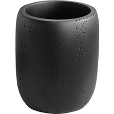 Storemax Rush Diş Fırçalık D-21082