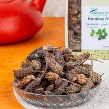 Karabaş Otu 50 gr | Aktarco Şifalı Bitkiler