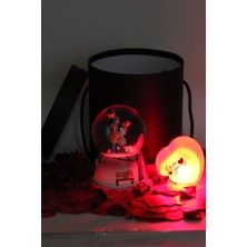 PremiumPort Sevgili Temalı Işıklı Müzikli Kar Küresi Kutu Seti, Hediye Için Mükemmel