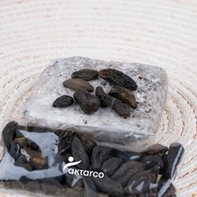 Karahalile 50 gr | Aktarco Şifalı Bitkiler