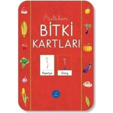 Storemax Bitki Kartları