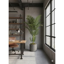 UltraMint 37X33 cm Beton Görünümlü Fiber Saksı, Şık ve Dayanıklı Tasarım