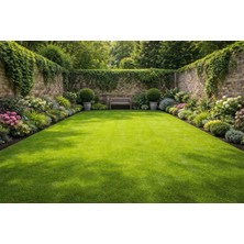 Yıldız Tohum 6 Li Karışım Çim Tohumu 1 kg Dayanıklı Yoğun Basilan Alanlar Için Ideal Çim Tohumu