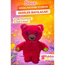 Matatabi Cats Bear Peluş Kedi Oyuncağı Doğal Matatabi Li,dayanıklı,kediler Için Eğlenceli Oyuncak
