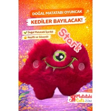 Matatabi Cats Stark Peluş Kedi Oyuncağı – Doğal Matatabi Li,dayanıklı,kediler Için Eğlenceli Oyuncak