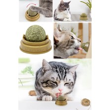 Munico Sağlıklı Yapıştırılabilir Oyuncağı Kaşıma Dilleme Kedi Nanesi Diş Oyun Topu Mint T  Için Ideal Seçim