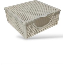 abnturk Sarmaşık Model Dantel Temalı Bej Peçetelik 18X18X7