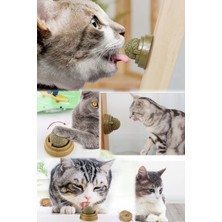 Munico Kaşıma Dil Oyuncak Kedi Mint Top Diş Nanesi Yapıştırılabilir  Için Ideal Seçim