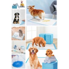 Munico 10'lu Süper Emici Su Geçirmez Tüm Cins Köpeklere Uygun Çiş Pedi Yavru Köpek Idrar Bez 90 x 60 cm Bez