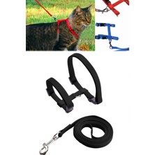 Munico Cinslere Tasması Kedi Ayarlanabilir Yetişkin Tasması Uyumlu 120 Kedi Göğüs Tüm cm   Kaliteli Malzeme