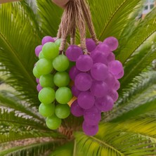 Poyrish Salkım Üzüm Sabun Yapım Seti Şeffaf Sabun Bazı Yeşil Mor