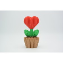 TriVox3D Saksıda Örgü Kalp Bitkisi Dekor