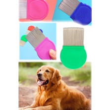 Munico Yetişkinler & Çocuklar & Evcil Hayvanlar Için Ideal Bit Tarağı Profesyonel Kaliteli Paslanmaz Çelik