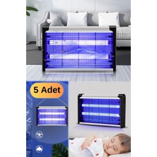 Munico Haşere Arı Askılıklı Çiftliği Böcek Adet Engelleyici Engelleyici 5 Sinek Boy Büyük  Için Ideal Seçim