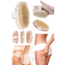 Munico Selülit Giderici Vücut Canlandırıcı At Kılı Selülit Fırçası Çatlak Giderici Tüm Vücut Fırçası