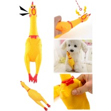 Munico Ses Çıkartan Horoz Oyuncak Zararsız 15 cm Eğlenceli Pet Pro Orta Boy Köpek ve Kediler Için Eğlenceli