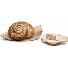 Mdstech Salyangoz Şeklinde Gizli Anahtar Kasası Iç ve Dış Mekan Bahçe Kaya Görünümlü Saklama Kutusu