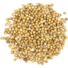 Depposite Kişniş Tohumu 100 gr