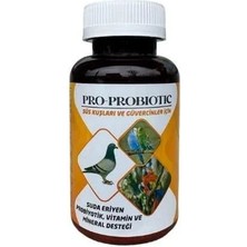 Refarm Pro-Probiotic Probiyotik,vitamin ve Mineral Desteği 200GR
