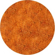 Depposite Burger & Patates Kızartma Çeşnisi 100 gr