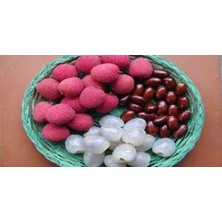 Hamile Marketim Liçi (Kral Meyvesi-Aşk MEYVESI)100GR