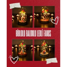 Ieg™ Biblolu Balonlu Ledli Fanus