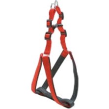 Delixa Soft Bel Tasma 2,5X77-98 cm