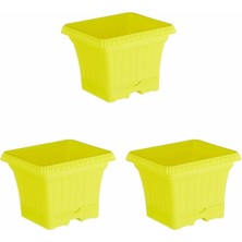 Delixa Ova Balkon Saksı Tabaklı 3 Adet, Sarı 2.2 Litre