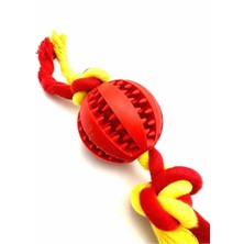 Hepta Collection Tasma Market Ödül Maması Saklama Kısımlı Diş Ipi Köpek Eğitim Topu Oyuncağı Sarı-Kırmızı