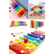 Munico 8 Ölçekli Müzik Aleti Ksilofon Nota Çocuklar Için Müzik & Ritim & El-Zihin Koordinasyonu Geliştirici