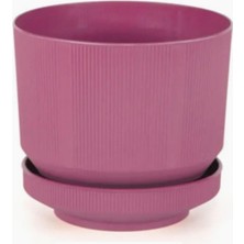 Delixa Plastik Tabaklı Saksı 1 Adet (Fuşya) 6 Lt