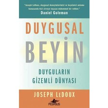 Duygusal Beyin: Duyguların Gizemli Dünyası