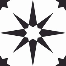 Delixa FP2948 Altair Peel & Stick Yer Karosu, Siyah