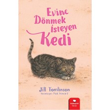 Redhouse Kidz Yayınları Evine Dönmek İsteyen Kedi