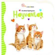 Beta Kids Sözcükleri Keşfediyorum Hayvanlar